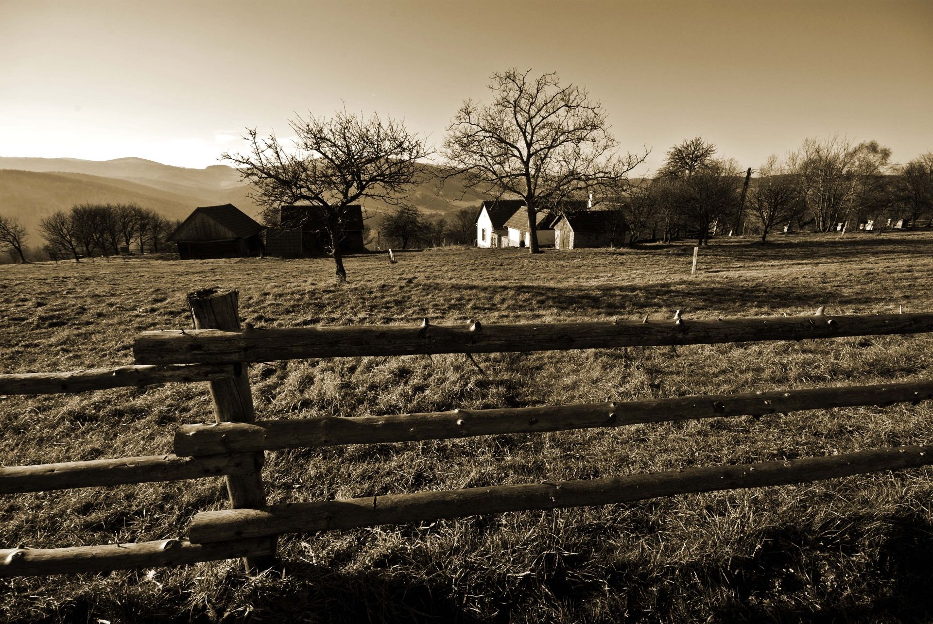 0zitkova3 (2) 0zitkova3 (2)