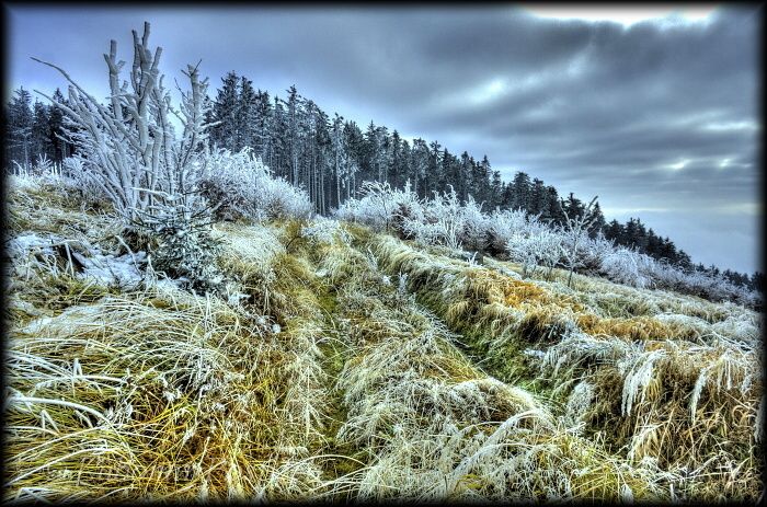 Bosacka_list_2011_3 (1)