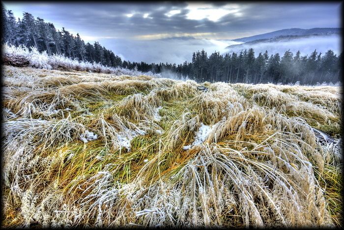 Bosacka_list_2011_4 (1)