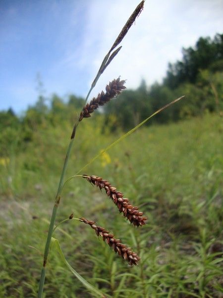 DSC01095_MV_2010 (1)