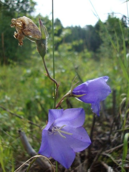 DSC01105_MV_2010 (1)