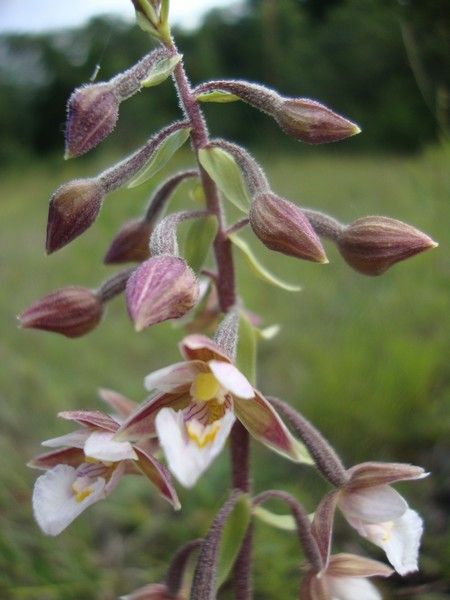 DSC01115_MV_2010 (1)