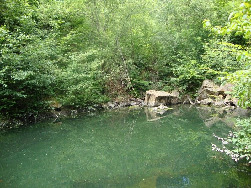 DSC01133_MV_2010 (1)