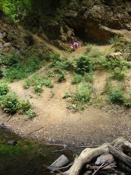 DSC01146_MV_2010 (1)