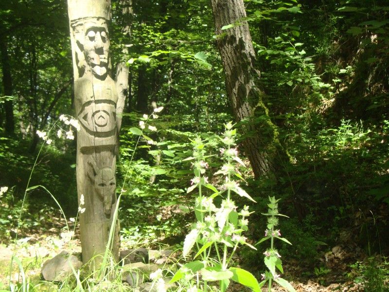 DSC01179_MV_2010 (1)