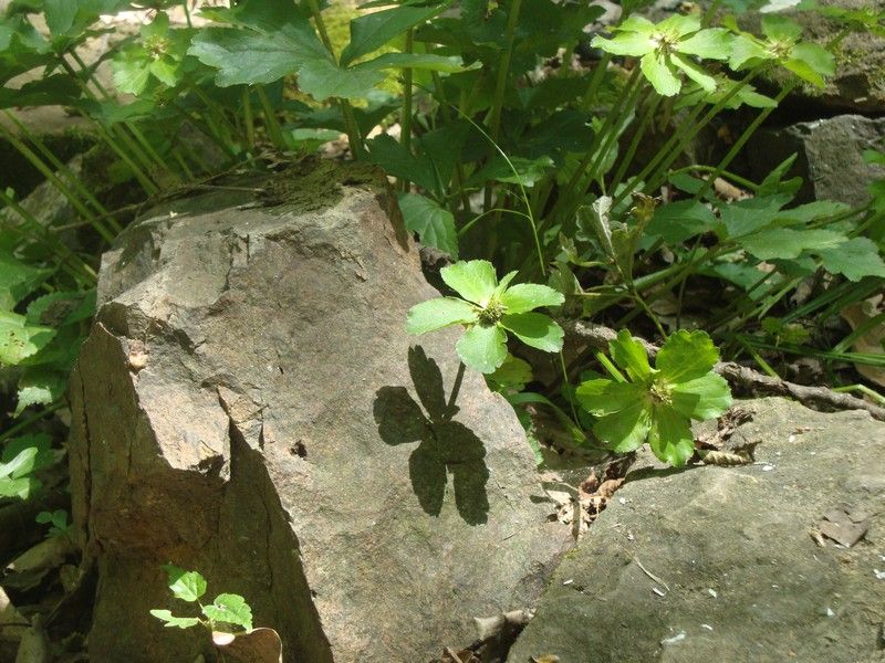 DSC01183_MV_2010 (1)