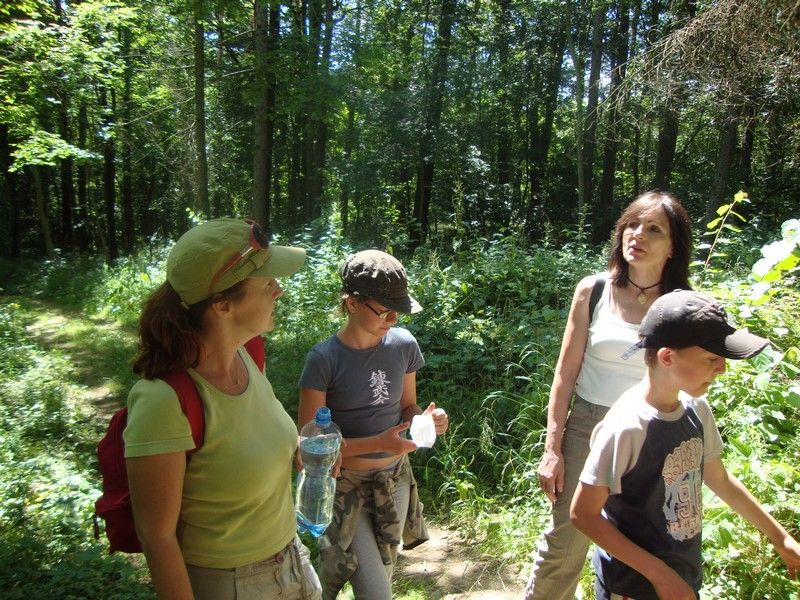 DSC01210_MV_2010 (1)