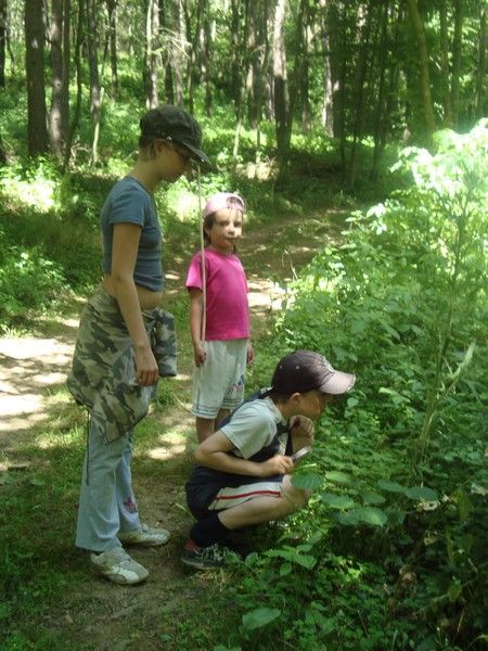 DSC01213_MV_2010 (1)