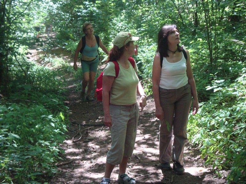 DSC01215_MV_2010 (1)