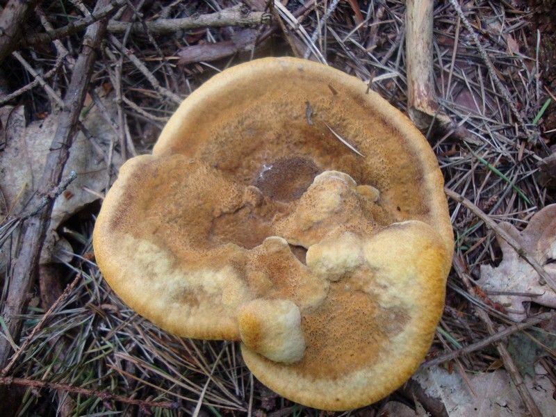 DSC01219_MV_2010 (1)