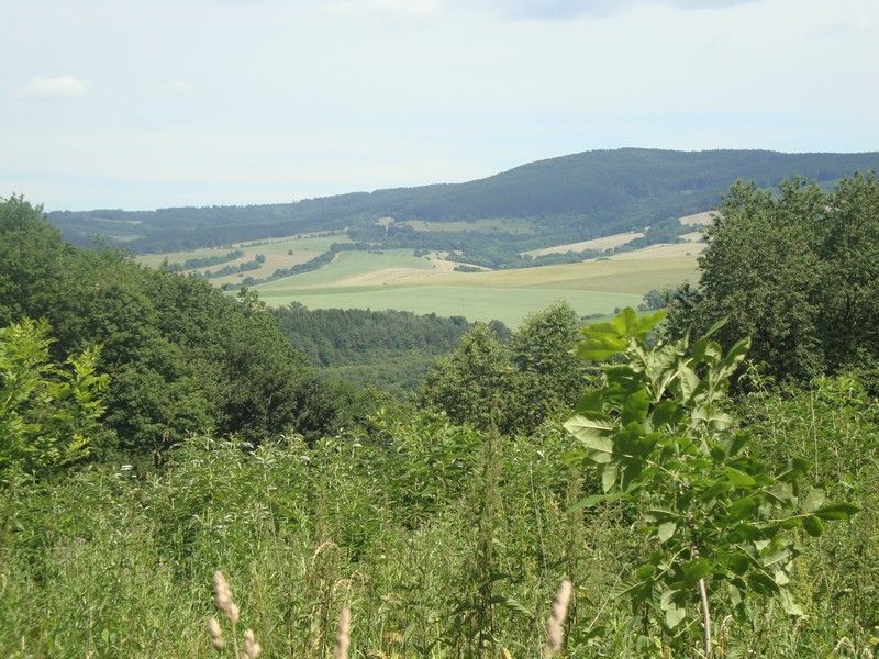 DSC01221_MV_2010 (1)