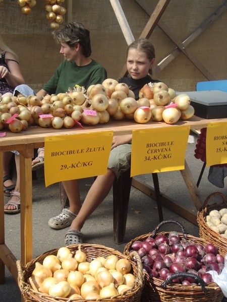 DSC01487_Biojarmark_2010 (1)