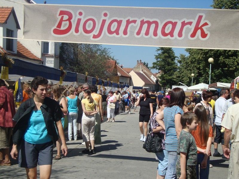 DSC01556_Biojarmark_2010 (1)