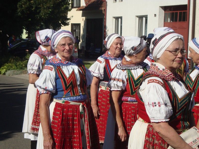 DSC01727_Biojarmark_2010 (1)