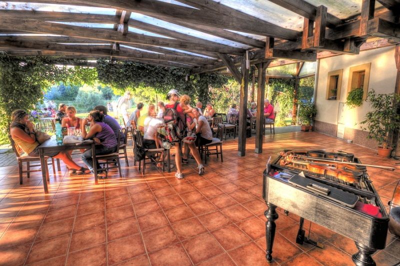 Ekofarma_Sadky__Den_5_L__Pospech (1)