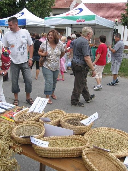 IMG_0072_Biojarmark_2010 (1)