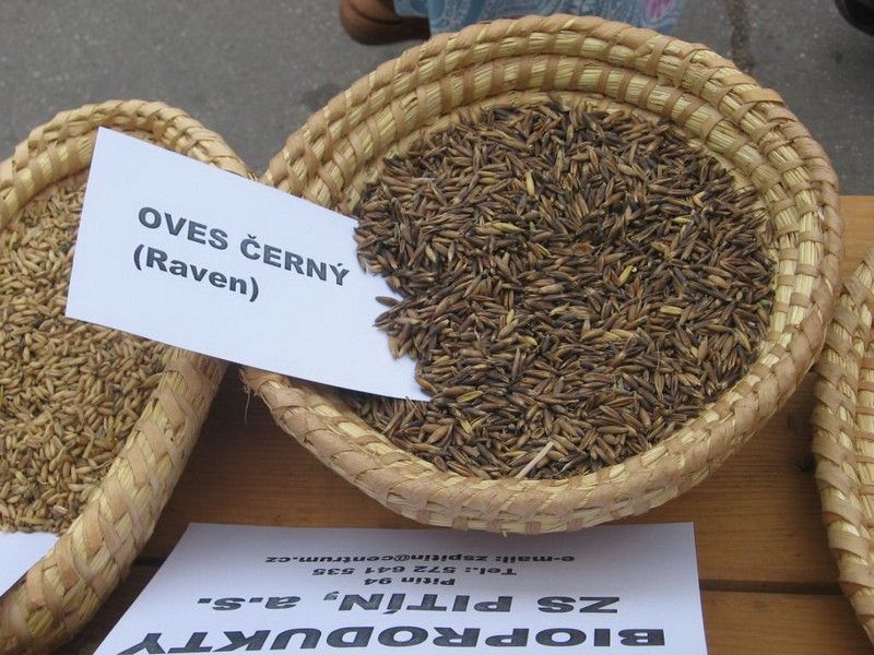 IMG_0141_Biojarmark_2010 (1)