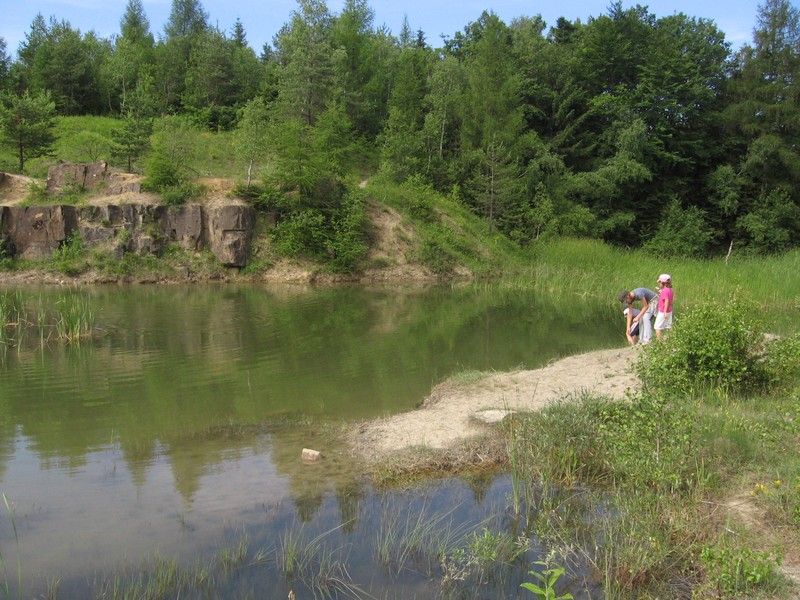 IMG_2573_MV_C_2010 (1)