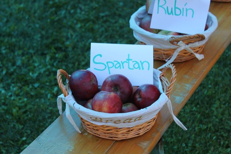 IMG_4540_____kopie (1)