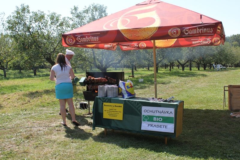 IMG_4553_____kopie (1)