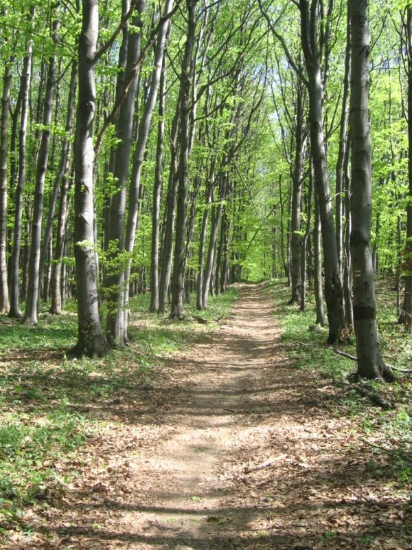 Jarni_vylet_26_4_09R_045 (1)