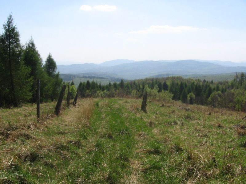 Jarni_vylet_26_4_09R_055 (1)