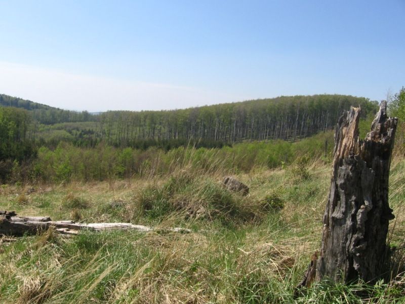 Jarni_vylet_26_4_09R_058 (1)