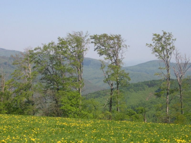 Jarni_vylet_26_4_09R_091 (1)