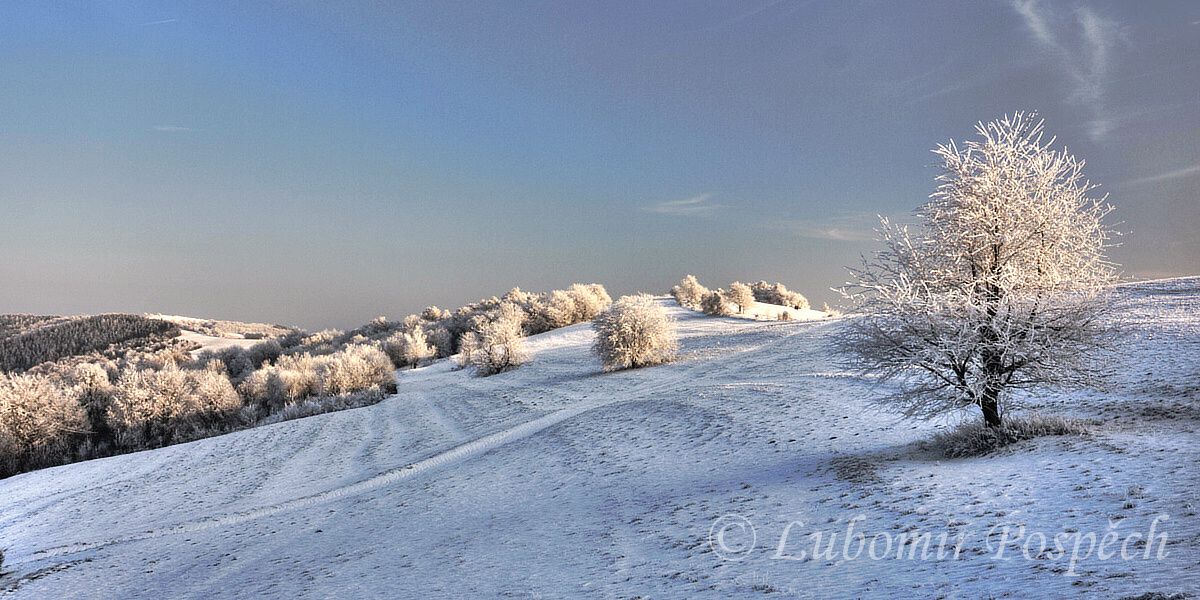 Kykula_Machnac_16_1__2010_L__Pospech (1) Kykula_Machnac_16_1__2010_L__Pospech (1)