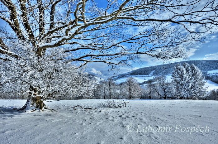 Lop_sedlo_zima_2012 (1)