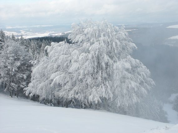 Mysacka_vysksnih03 (1) Mysacka_vysksnih03 (1)