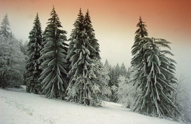 NadLopSedlem12_04LP07 (1) NadLopSedlem12_04LP07 (1)