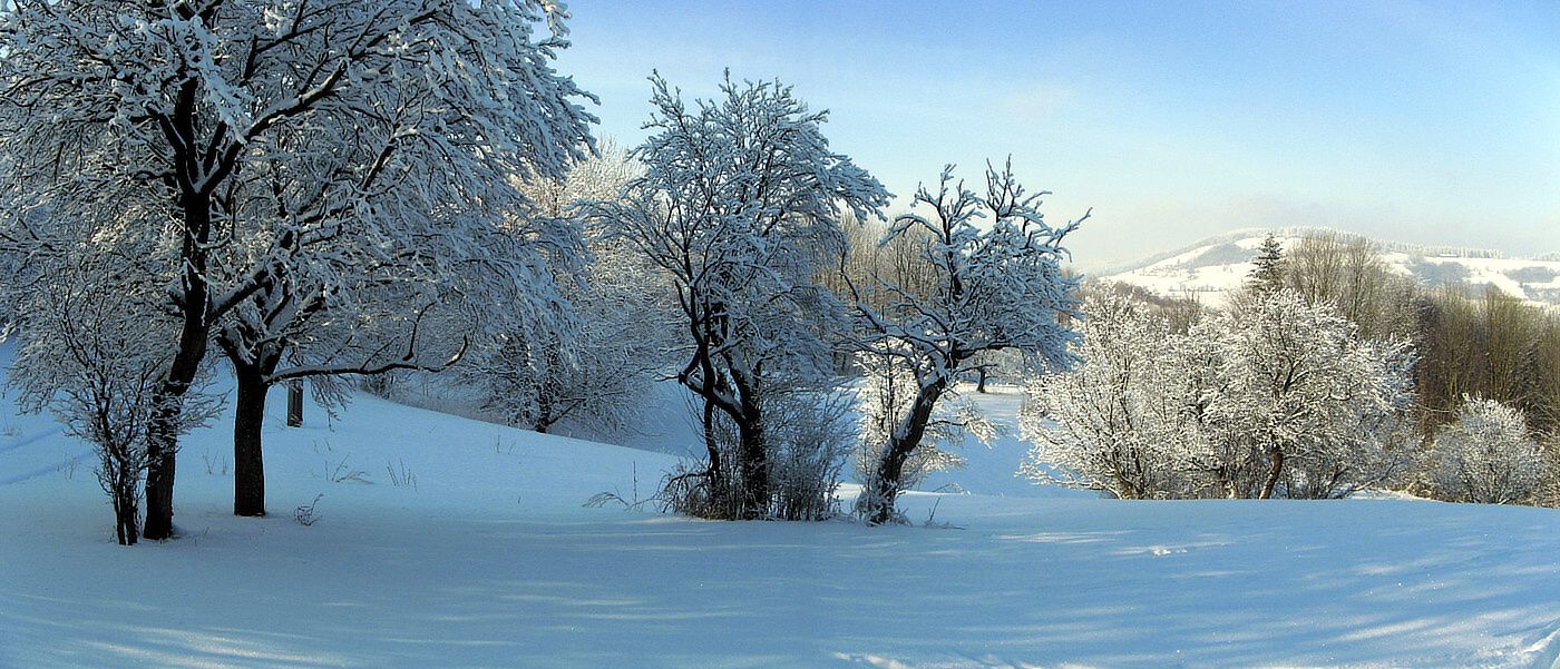 Pnrm_Ve_Vlci_4 (1) Pnrm_Ve_Vlci_4 (1)