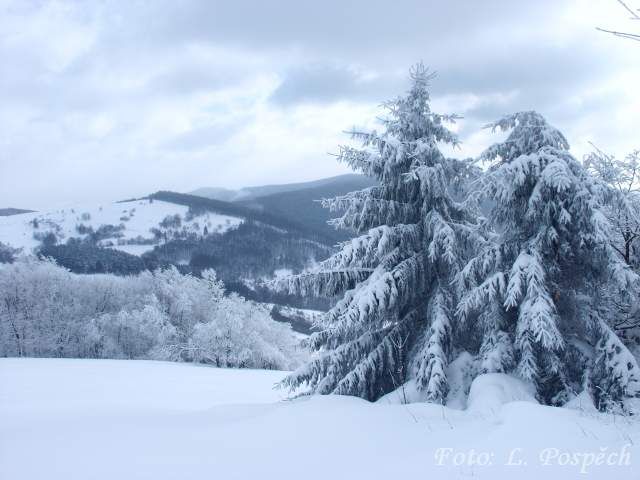 RapantJPG43 (1) RapantJPG43 (1)