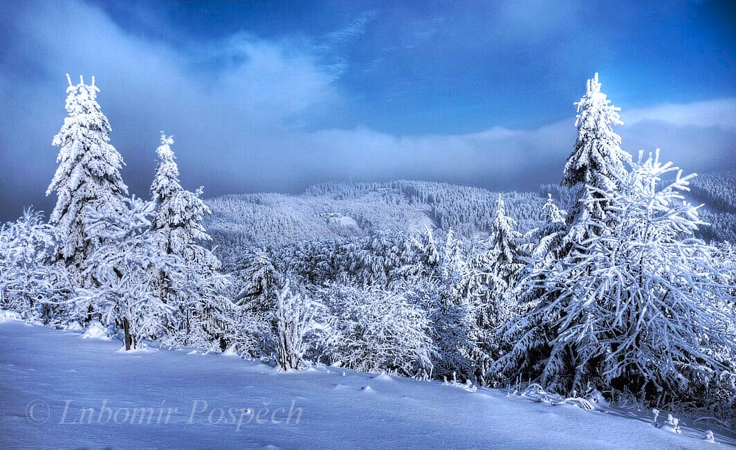 Skratova_4__leden_2010_L_Pospech (1) Skratova_4__leden_2010_L_Pospech (1)