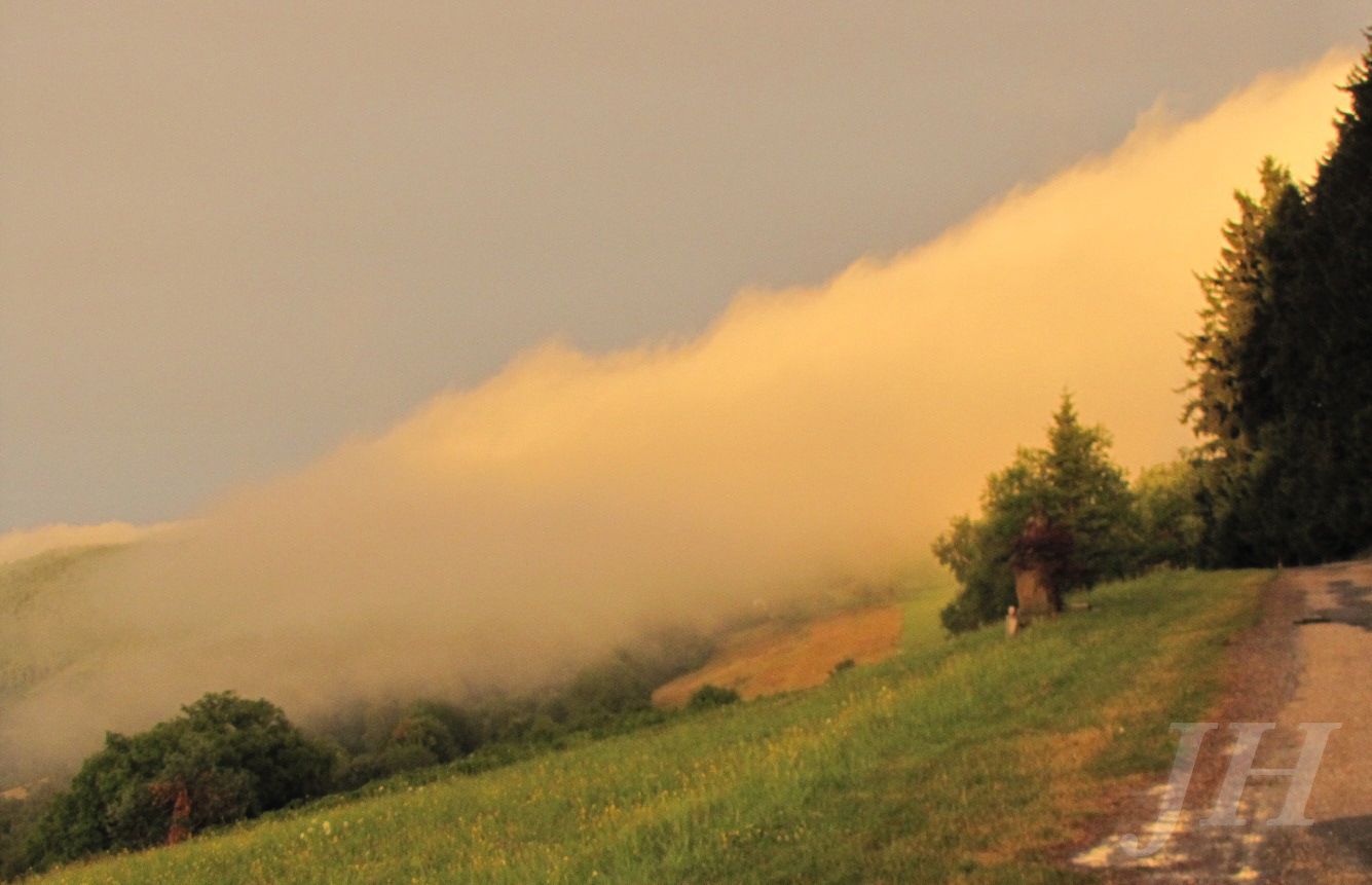 Vyskovec_14_7_2012_JH__20 (1)