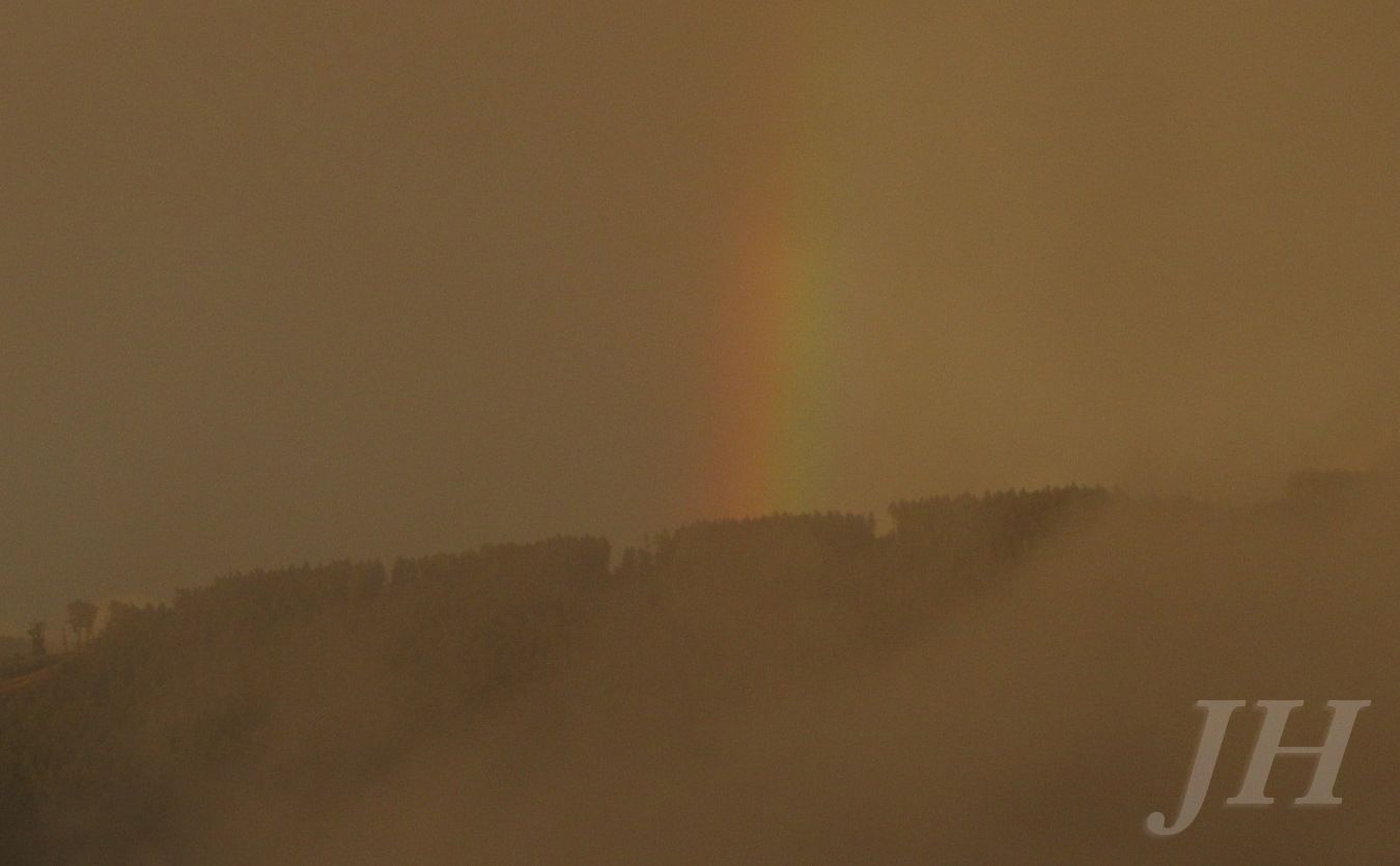 Vyskovec_14_7_2012_JH__28 (1)