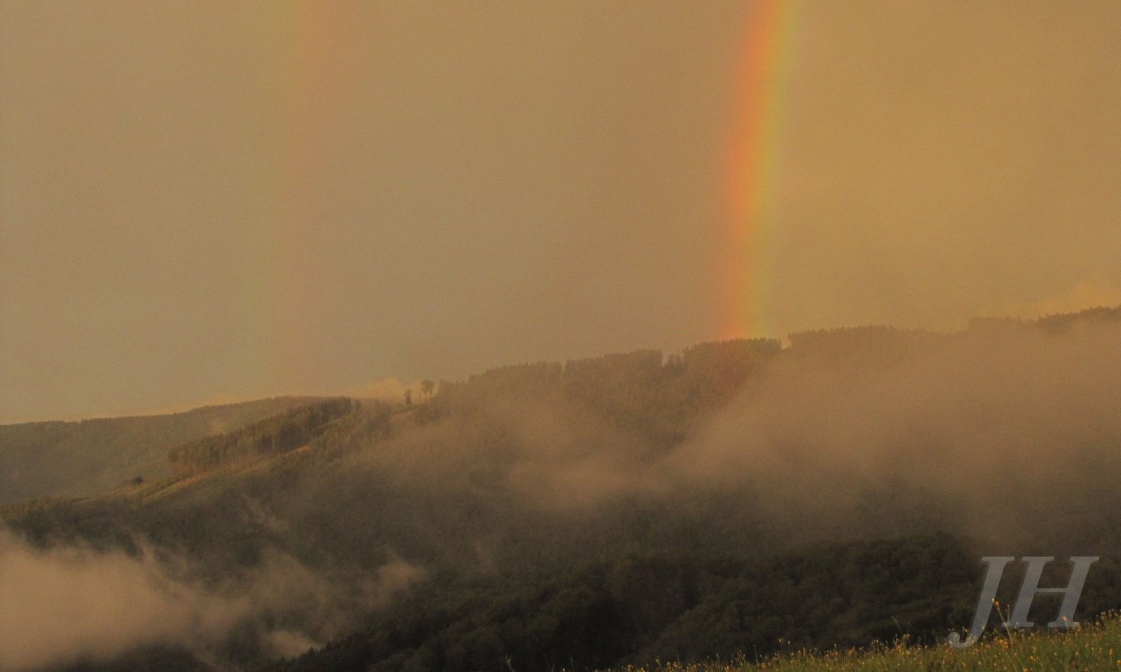 Vyskovec_14_7_2012_JH__29 (1)