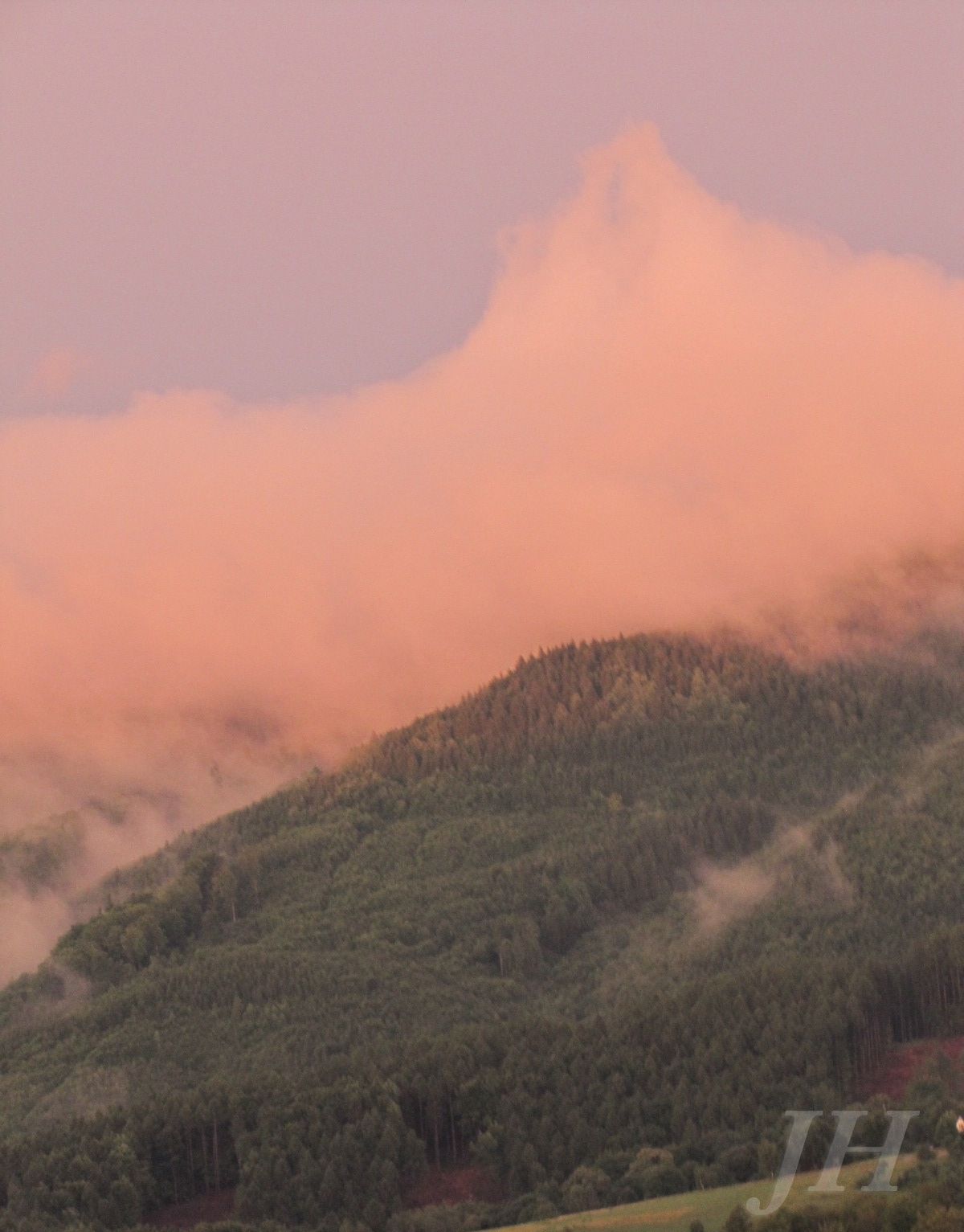 Vyskovec_14_7_2012_JH__50 (1)