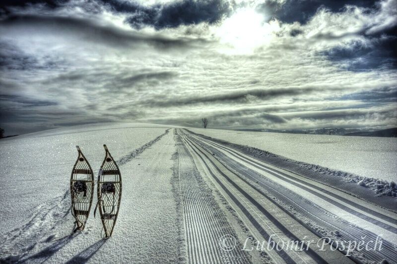 Zitkovsky_vrch__sneznice_bezky_1_2010_L__Pospech (1) Zitkovsky_vrch__sneznice_bezky_1_2010_L__Pospech (1)