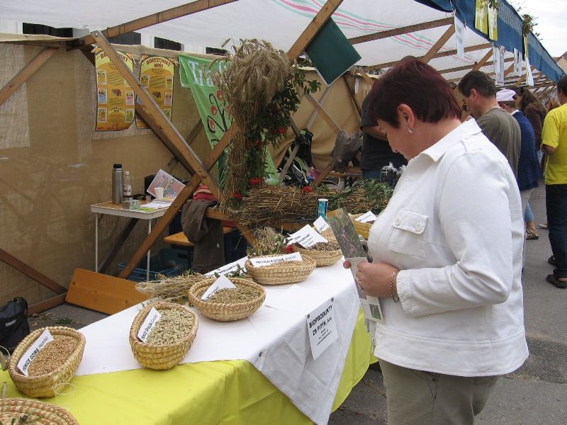 dozinky_Velka_08_097 (1)