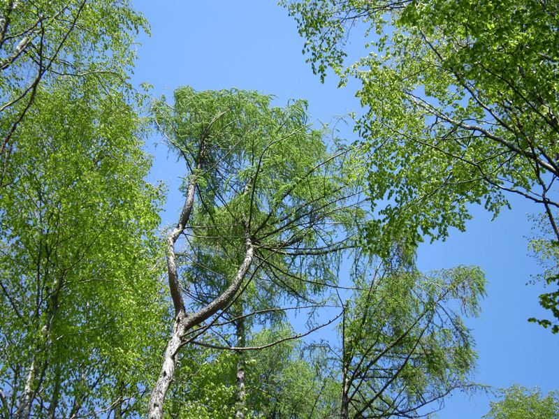 jarni_vylet_26_4_2009_012 (1)