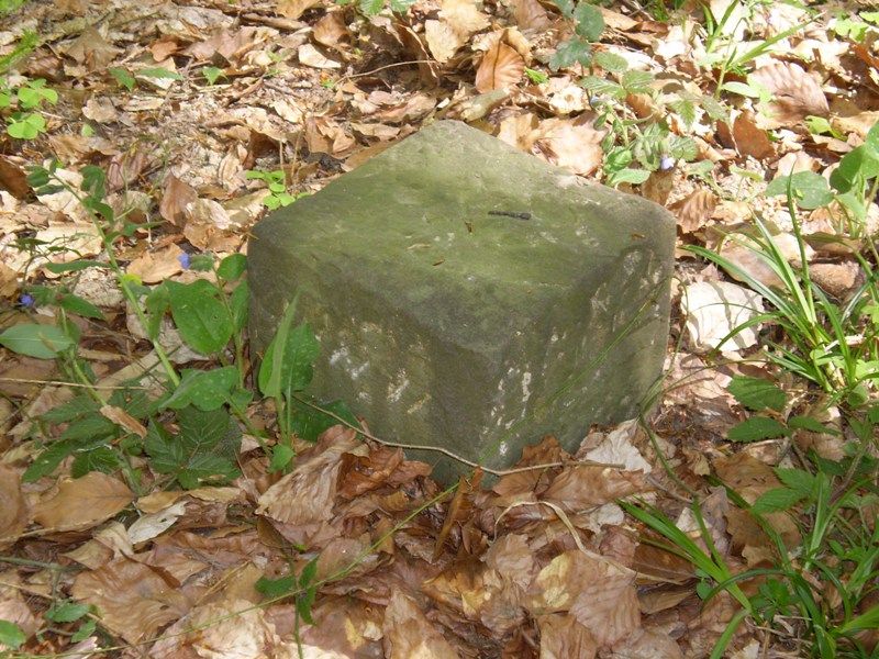 jarni_vylet_26_4_2009_020 (1)