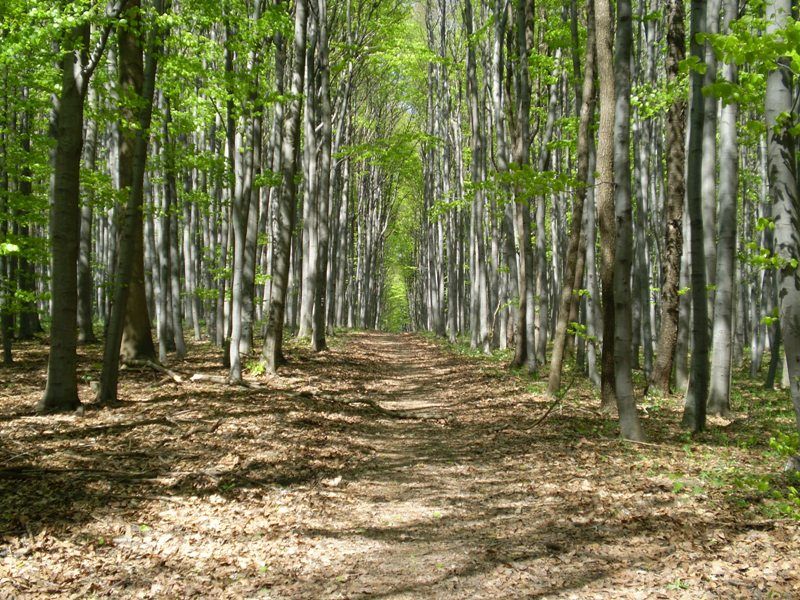 jarni_vylet_26_4_2009_028 (1)