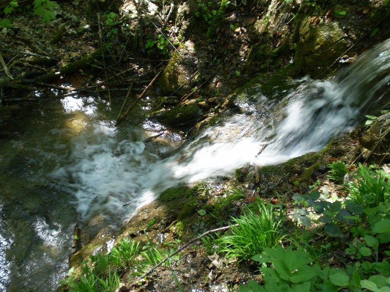 jarni_vylet_26_4_2009_071 (1)