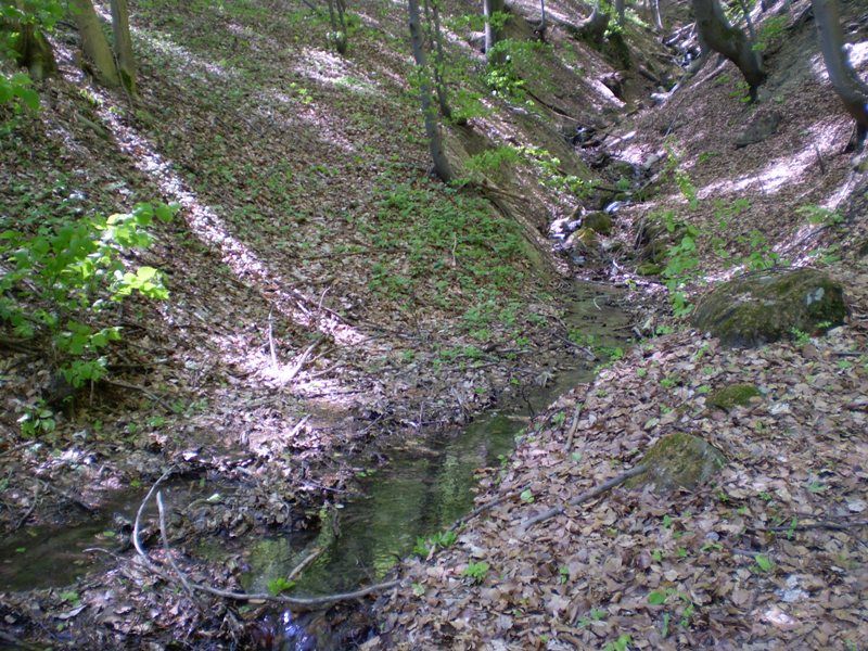 jarni_vylet_26_4_2009_078 (1)