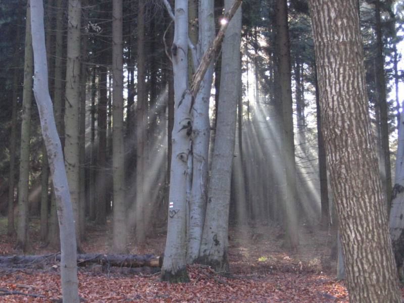 podzimni_vylet_08_016 (1)