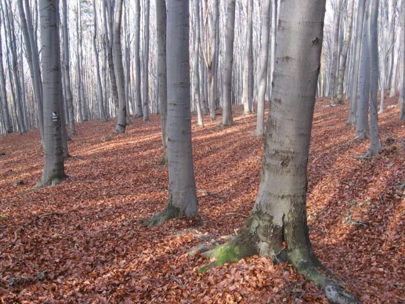 podzimni_vylet_08_024 (1)