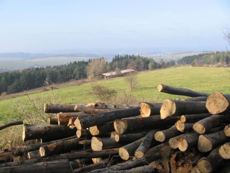 podzimni_vylet_08_026 (1)