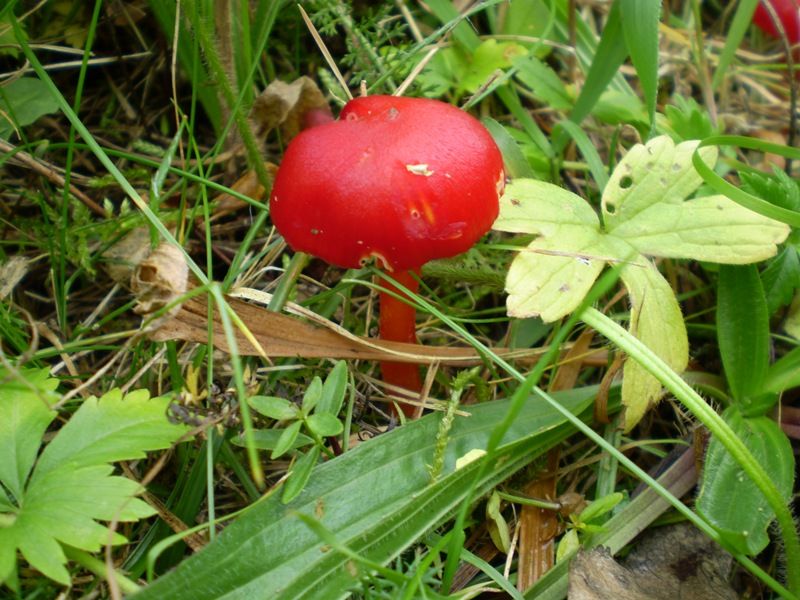 priroda_2008_055 (1)